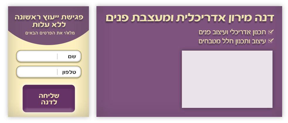 דנה מירון